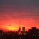 Image for article titled Some of Japan's Most Memorable Twitter Pics of 2014